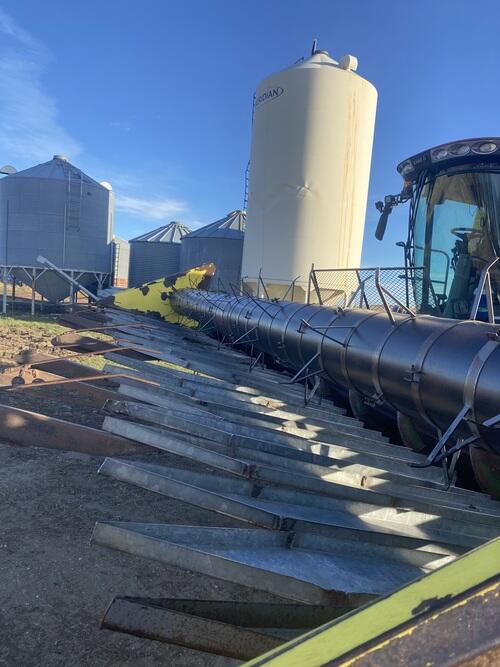 Tuttle Nd Sunflower head | Tuttle, ND