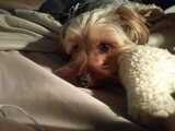 pickles's Profile Photo