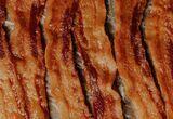 bacon's Profile Photo