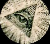 Tim's Profile Photo