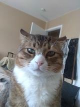 C.K.'s Profile Photo