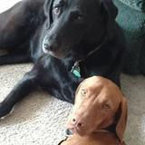 Trud's Profile Photo