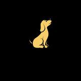 Dakota Country Doodles and Retrievers 's Profile Photo