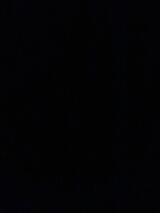 LD's Profile Photo