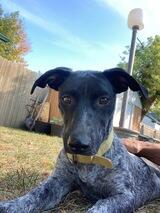 Kevin 's Profile Photo