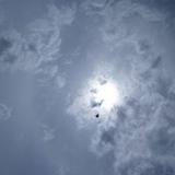 Jennifer Lemming's Profile Photo
