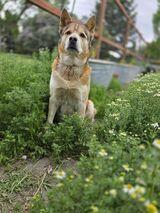 bluekoda21's Profile Photo