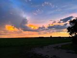 Farm123's Profile Photo