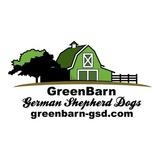 GreenBarn-GSD's Profile Photo