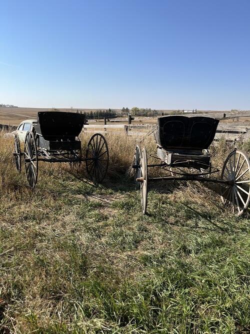 Two horse carriages for sale, both for one price. In restorable