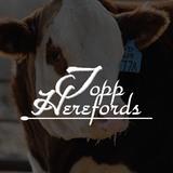 Topp Herefords's Profile Photo