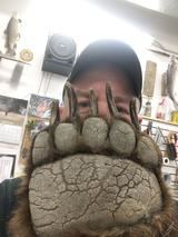 Bearguy's Profile Photo