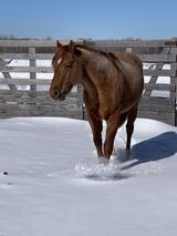 Spear Ranch's Profile Photo