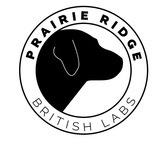Prairie Ridge British Labs's Profile Photo