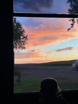 Diane's Profile Photo