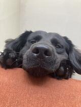Jesse's Profile Photo