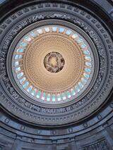 Tom's Profile Photo