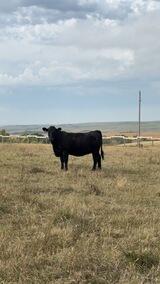 Ethan 's Profile Photo