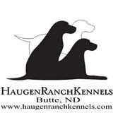Haugen Ranch Kennels's Profile Photo