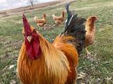 SB's Profile Photo