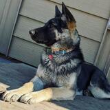 Fevure's Profile Photo