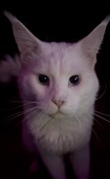 PRSG's Profile Photo