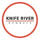 Knife River Kennels's Profile Photo