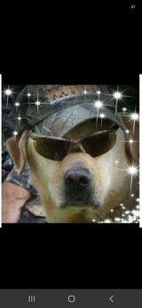 User profile image