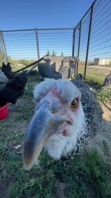 39's Profile Photo
