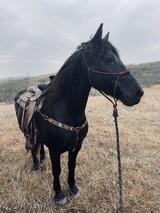 beccak's Profile Photo