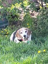 SANDY 's Profile Photo