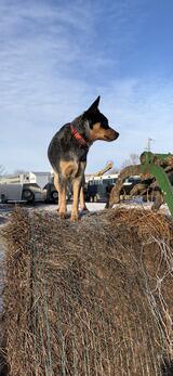 ranching's Profile Photo